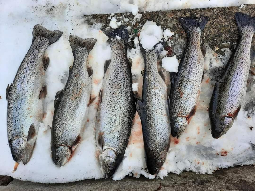 Poiana Bucovat Hotell Gura Humorului Exteriör bild